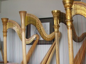 Several Pedal harps in a line