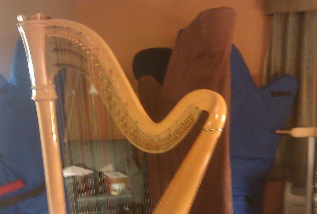 Several pedal harps, a blonde one in the foreground, the rest covered up